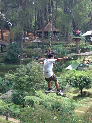 Flying Fox