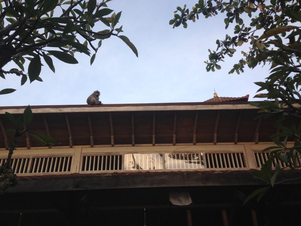 Hubud Coworking Space di Ubud Bali — Arif Setiawan